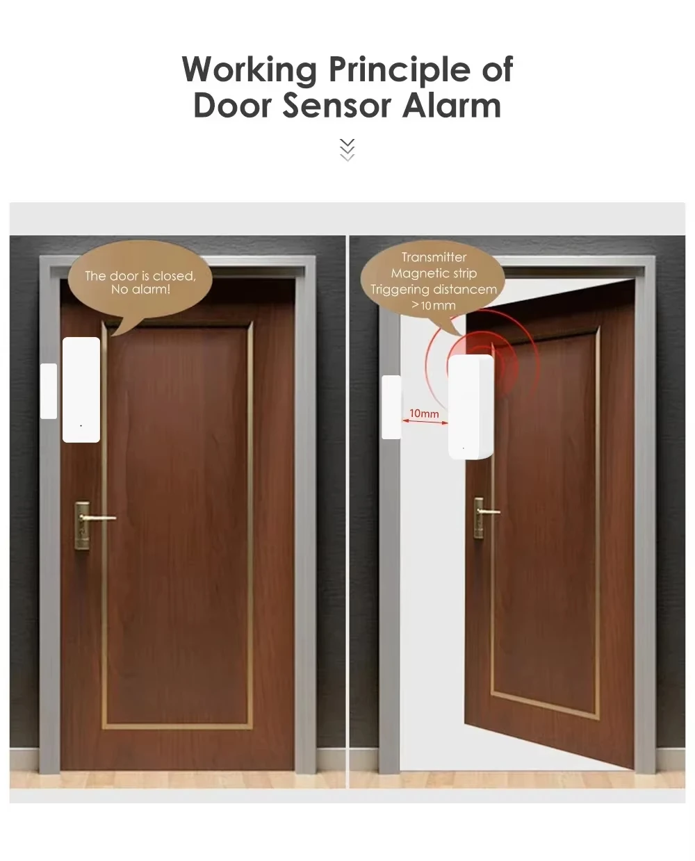 Tuya Zigbee/WiFi Sensor Jendel - Window Alarm Sensor ulasan dan harga